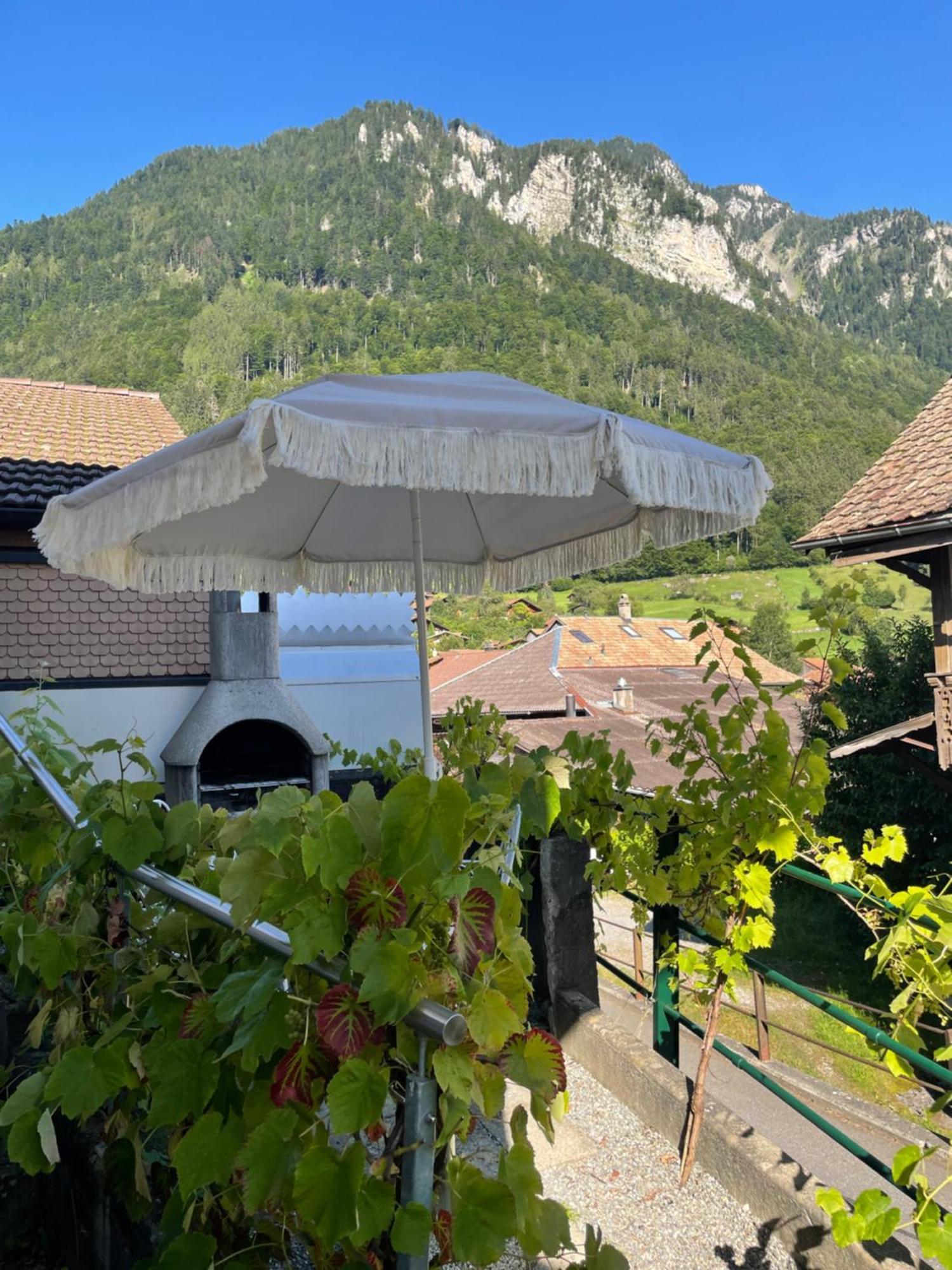 Studio In Alps By Apartments Capricorn Gsteigwiler Екстер'єр фото